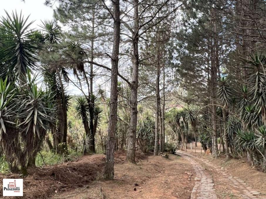 Apartamento, 18455 m² - Foto 7