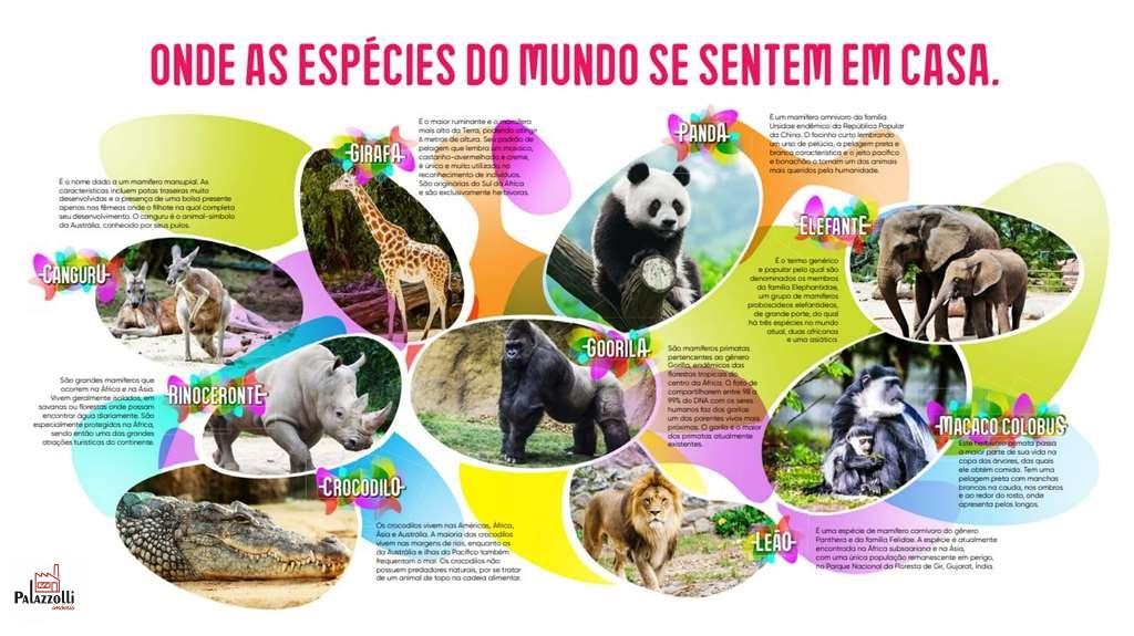 Apartamento, 18455 m² - Foto 10