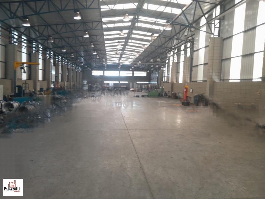 Depósito-Galpão, 1618 m² - Foto 3